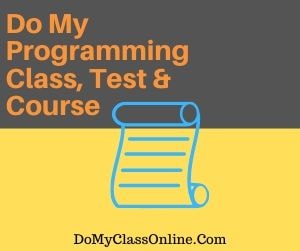 Do My Programming Class, Test & Course